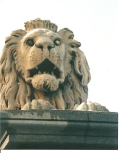 Lion from the Lanc Hid (Chain Bridge) in Budapest