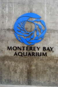 10 July 2012 Monterey Bay Aquarium