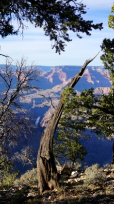 8 Nov 2014 Grand Canyon (104)